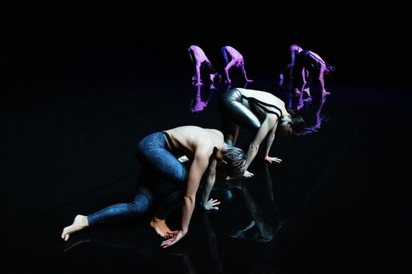 7a_standard_by_cocoondance__alessandro_de_matteis_a7818